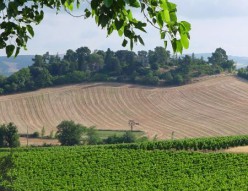 Surrounding Countryside