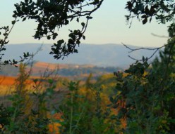 Surrounding Countryside in the Autumn